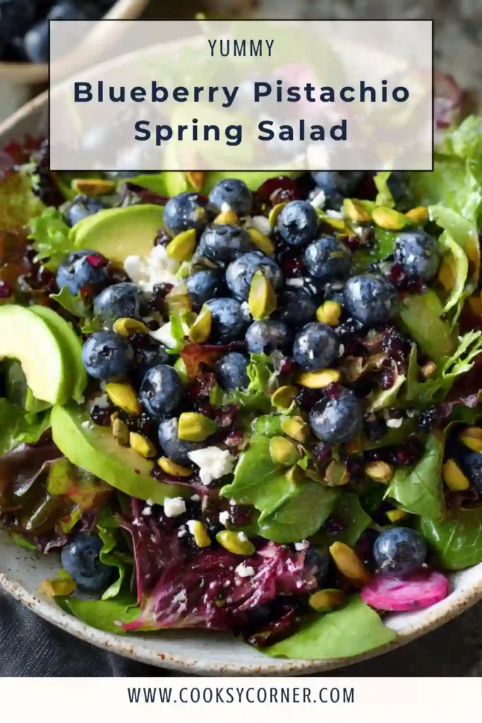 Close-up of fresh spring salad with blueberries, watermelon radish, red onion, and creamy dressing.