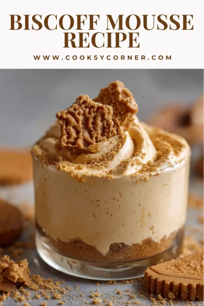Close-up of fluffy Biscoff mousse with glossy topping.