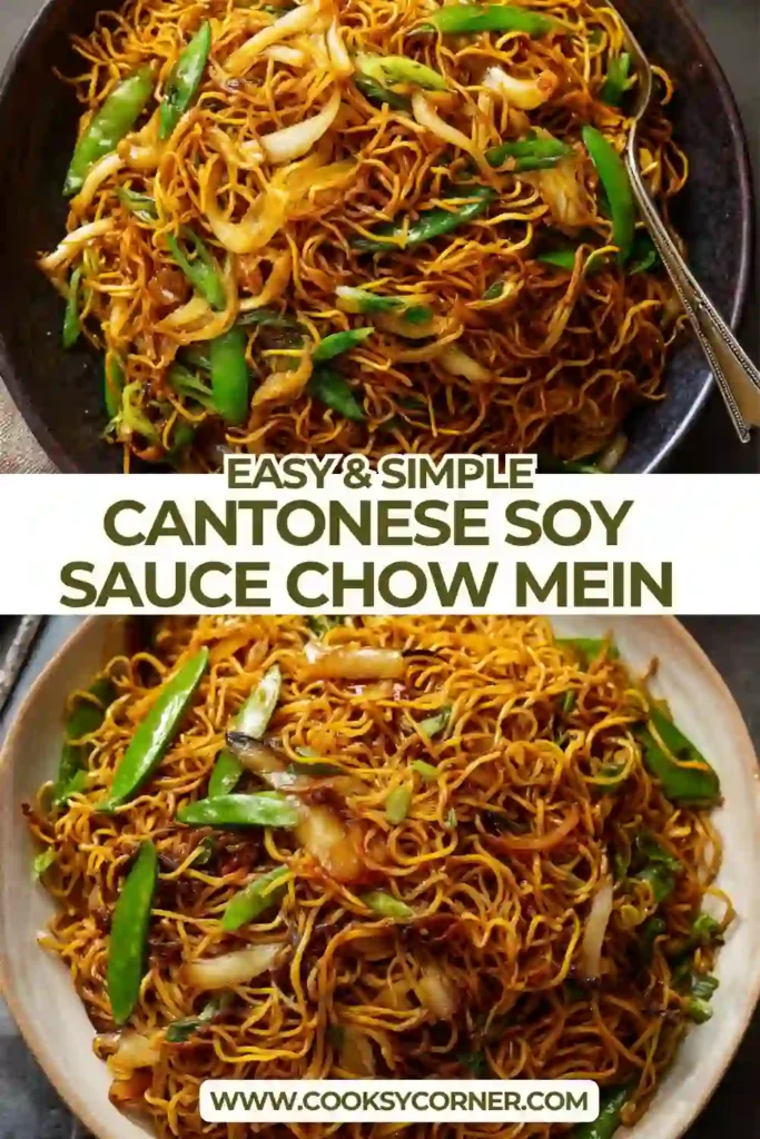 Stir-fried Cantonese Soy Sauce Chow Mein served hot with caramelized onions and fresh green scallions.