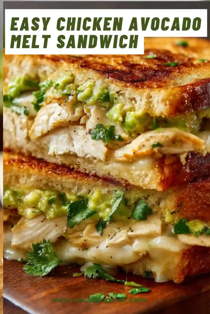 Golden brown Chicken Avocado Melt Sandwich served warm with melted mozzarella cheese, shredded chicken, and fresh avocado spread. A comforting homemade sandwich recipe for lunch or dinner.