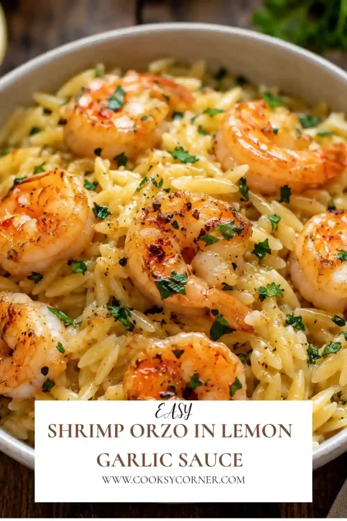 Close-up of lemon garlic shrimp served over tender orzo pasta with fresh parsley. The light citrus sauce creates a fresh and flavorful seafood meal.