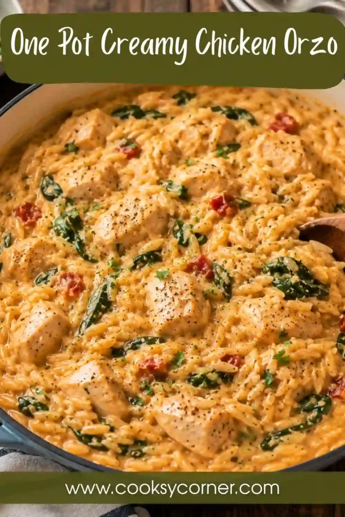 Cheesy One Pot Creamy Chicken Orzo garnished with fresh herbs in a serving bowl. This easy chicken orzo recipe is creamy, hearty, and perfect for meal prep.