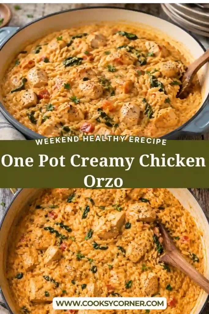 Creamy chicken orzo served fresh with spinach, sun-dried tomatoes, and herbs. An easy family dinner made in one pot with rich Italian-inspired flavors.