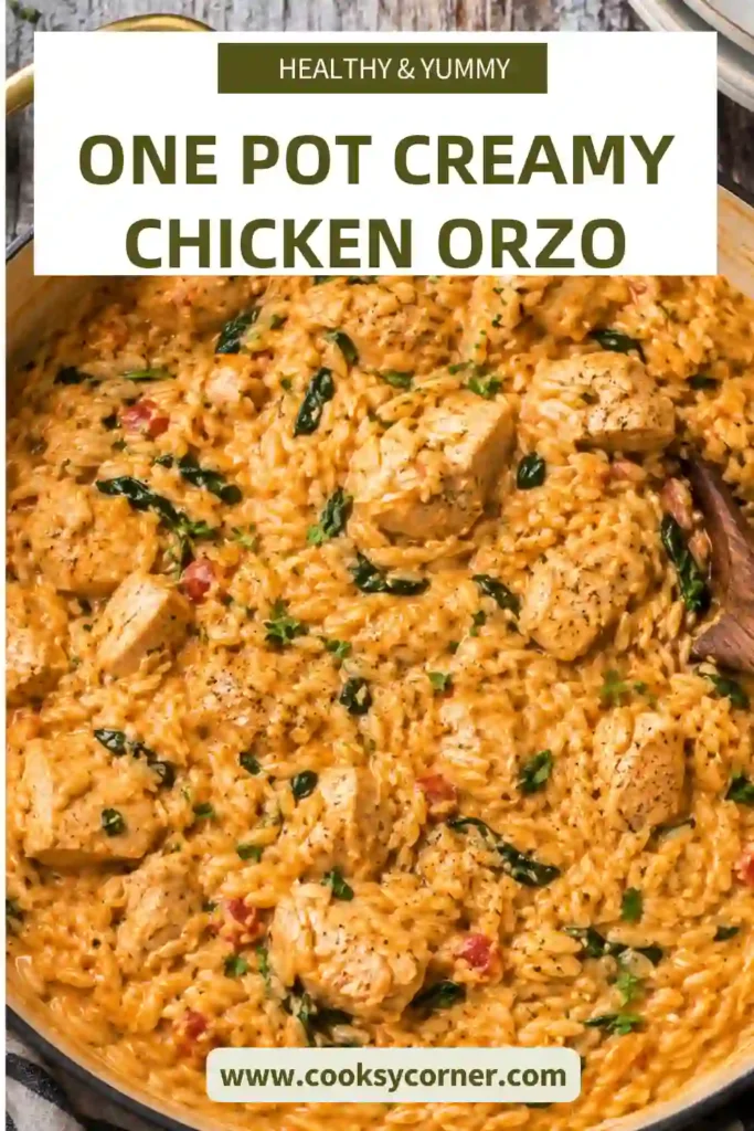 A bowl of One Pot Creamy Chicken Orzo made with seasoned chicken mince, tender orzo, spinach, and melted cheese in a rich tomato cream sauce. This comforting one-pan dinner is perfect for busy weeknights.