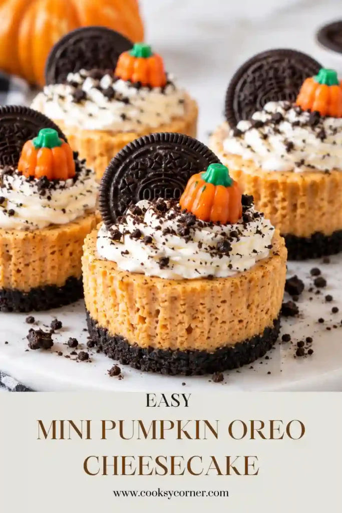 Mini pumpkin cheesecakes with chocolate Oreo cookies, pumpkin spice filling, whipped topping, and cookie crumbs. Each individual cheesecake is baked in a cupcake liner for easy serving.