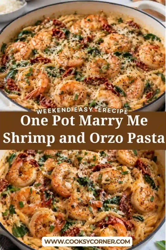 Creamy shrimp orzo with tender shrimp, sun-dried tomatoes, baby spinach, Parmesan cheese, garlic, and Italian herbs. The orzo is coated in a rich, velvety cream sauce.