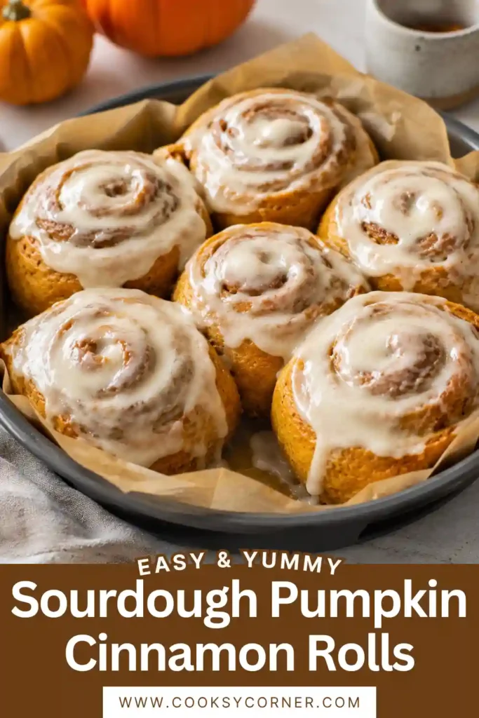 Freshly baked Sourdough Pumpkin Cinnamon Rolls covered with creamy vanilla cream cheese icing. Soft pumpkin sourdough surrounds a buttery brown sugar and cinnamon swirl.